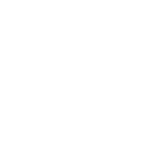 Logo Essilor