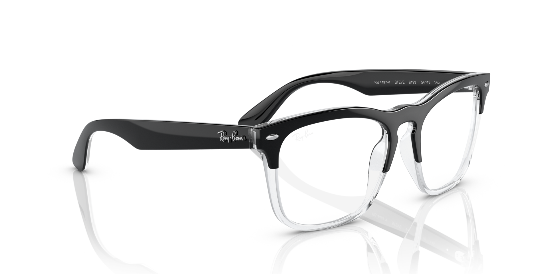 RayBan Steve