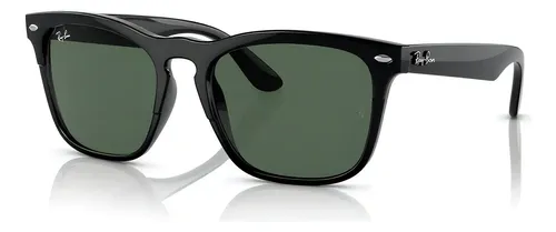 RayBan Steve