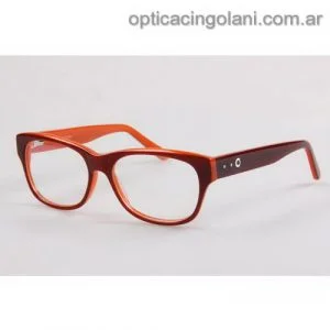 Anteojos recetados Vintage 1495 C3